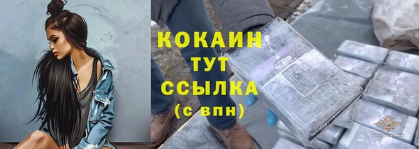 стаф Нея
