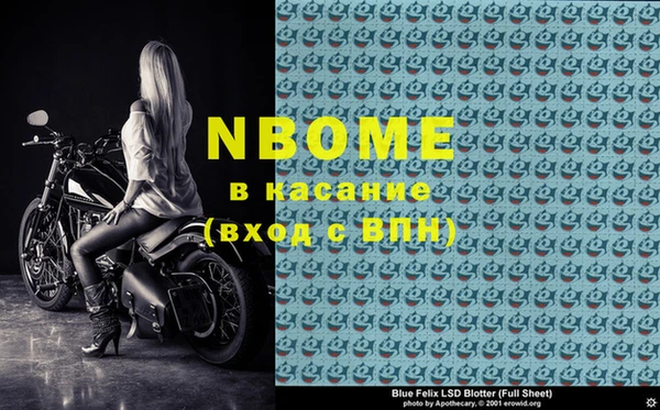 стаф Нея