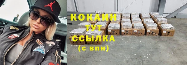 стаф Нея