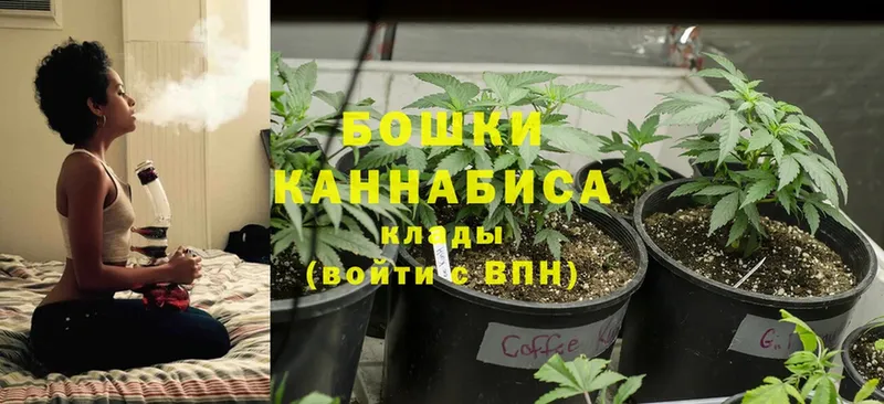 МАРИХУАНА Amnesia  где купить наркотик  Белый 